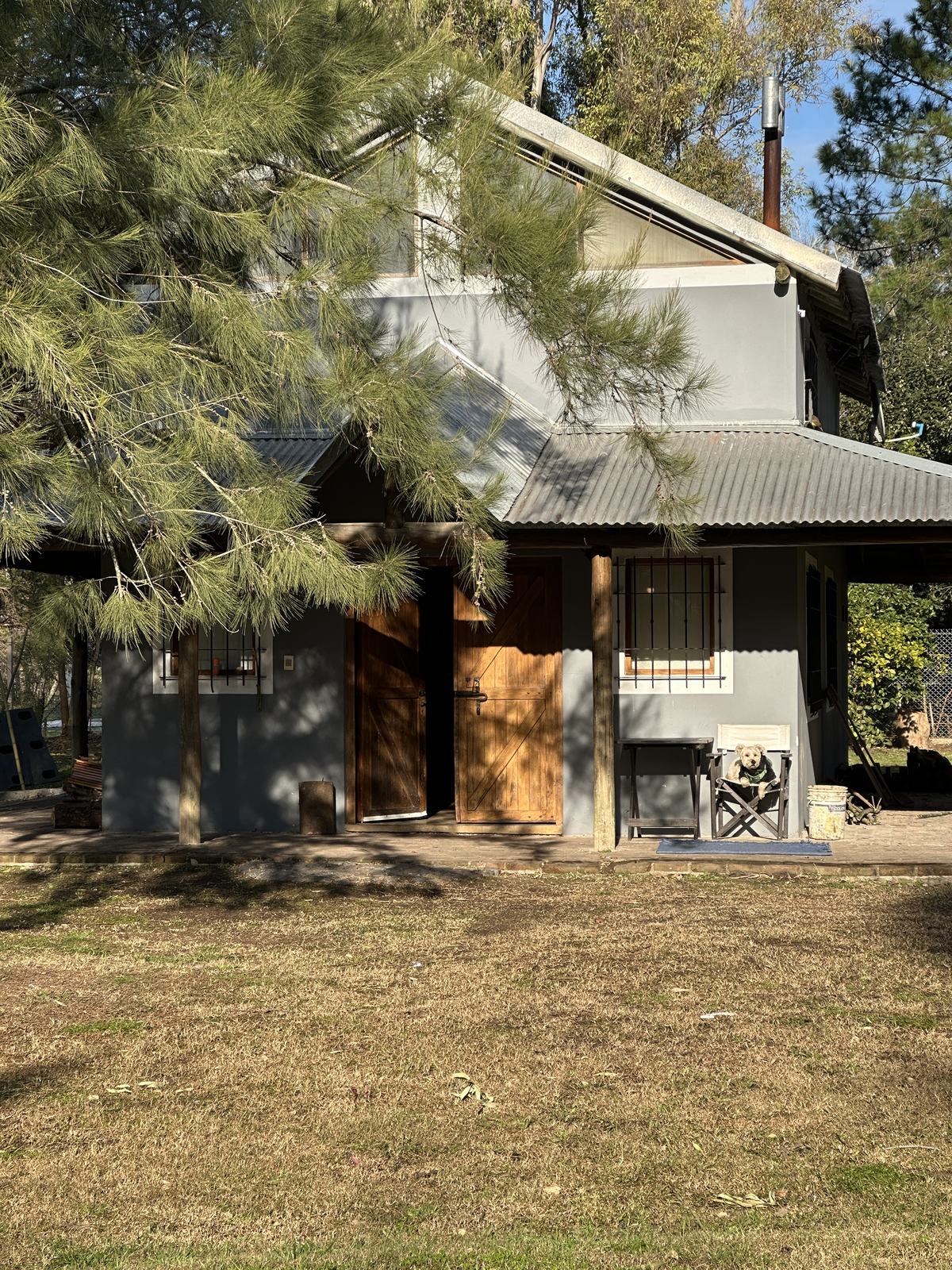 La casa entre los árboles