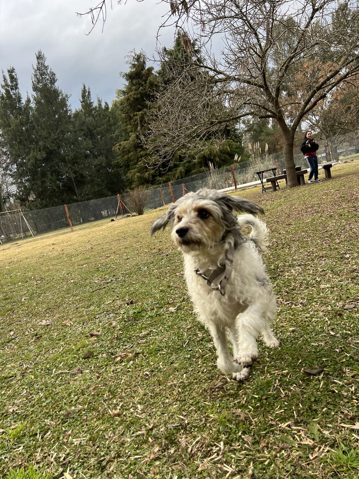 Coco