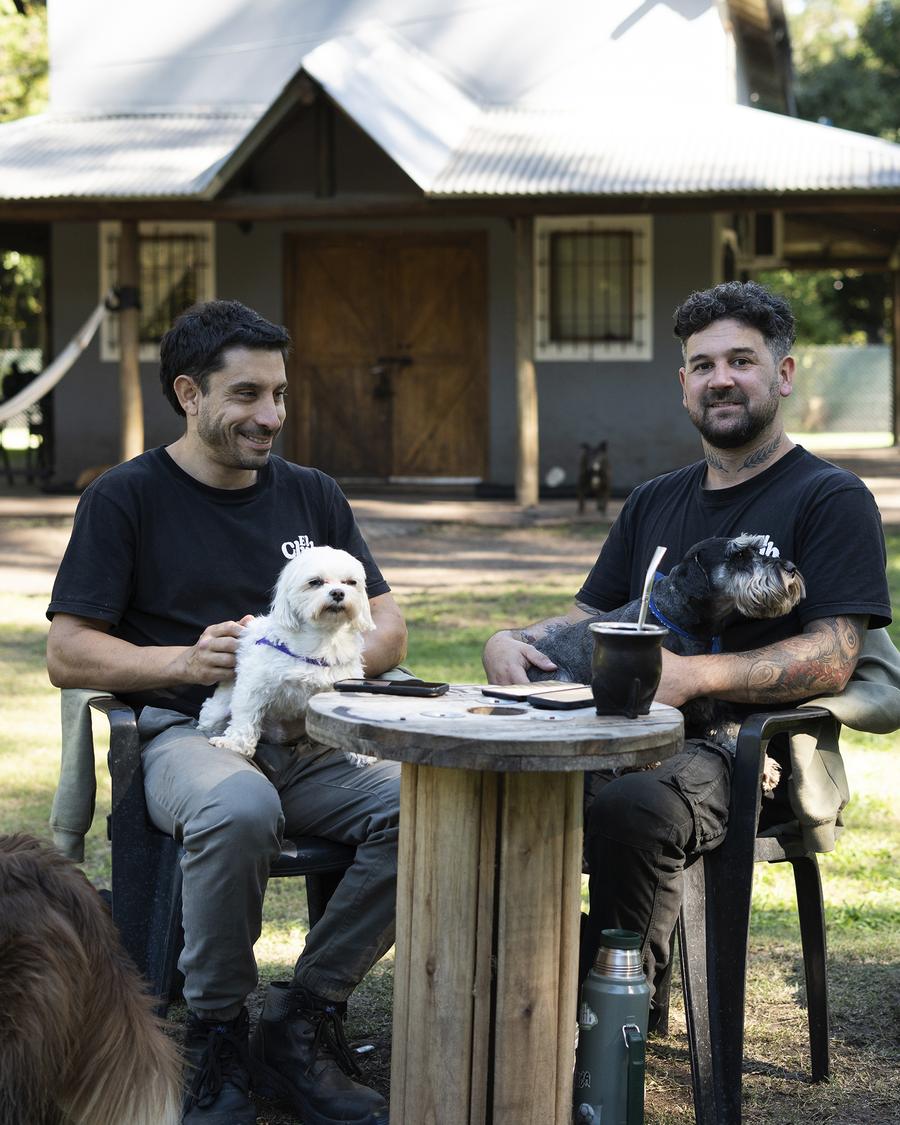 El equipo tomando mate con los perros pequeños en la mesa