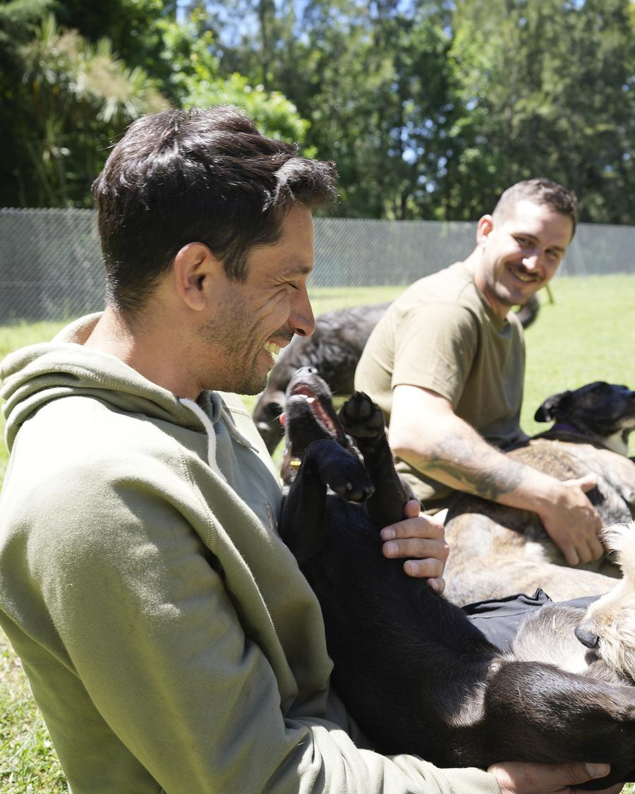 El equipo jugando con los perros en el pasto